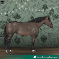Horse Color:Brown Dun Rabicano 