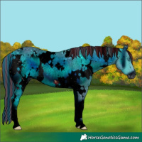 Horse Color:ERROR: UNKNOWN ANOMALY