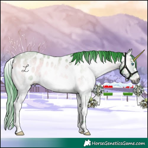 Horse Color:Gray Watercolor Buckskin Roan Onyx Splash Near Leopard
