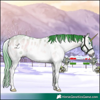 Horse Color:Gray Watercolor Buckskin Roan Onyx Splash Near Leopard 