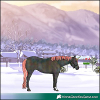 Horse Color:Painted Midnight Palomino Ice Onyx