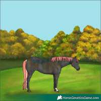Horse Color:Painted Midnight Palomino Ice Onyx 