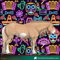 Horse Color:White Spotted Chestnut Sabino Frame