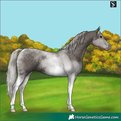 Horse Color:Silver Black Tobiano 