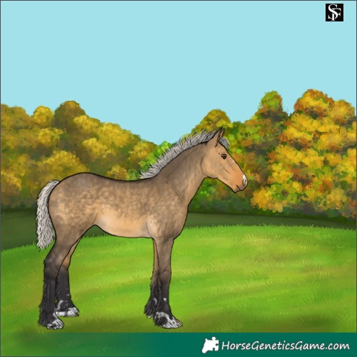 Horse Color:Silver Buckskin Dun 