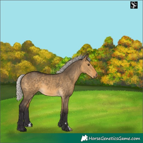 Horse Color:Silver Buckskin Dun 