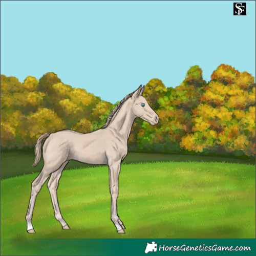 Horse Color:Smoky Creme 