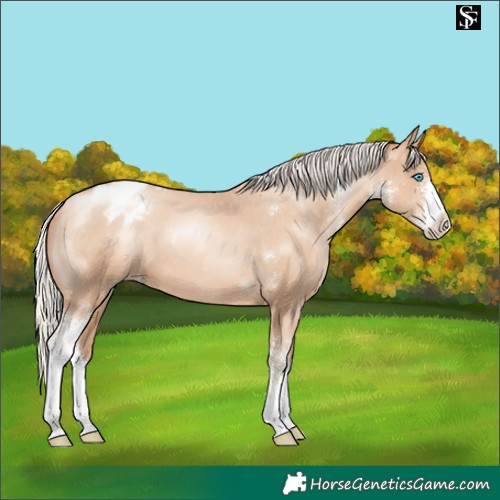 Horse Color:Silver Sable Champagne Pearl Sabino Appaloosa