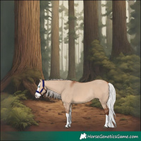 Horse Color:Silver Bay Dun Sabino Splash Rabicano 