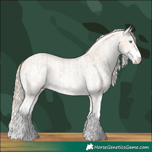 Horse Color:Perlino Sabino and Perlino Sabino Appaloosa
