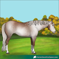 Horse Color:Gray Silver Black Pearl Tobiano 