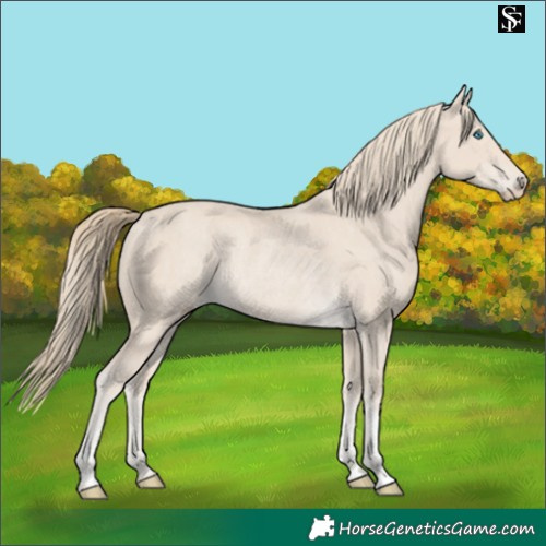 Horse Color:Smoky Creme  and Smoky Creme Rabicano 