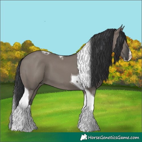 Horse Color:Grullo Splash Tobiano