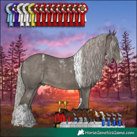 Horse Color:Powder White Silver Black Splash Tobiano