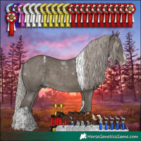Horse Color:Powder White Silver Black Splash Tobiano