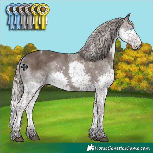 Horse Color:Powder White Silver Black Splash Tobiano 