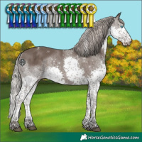 Horse Color:Powder White Silver Black Splash Tobiano 
