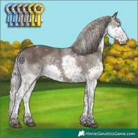 Horse Color:Powder White Silver Black Splash Tobiano 