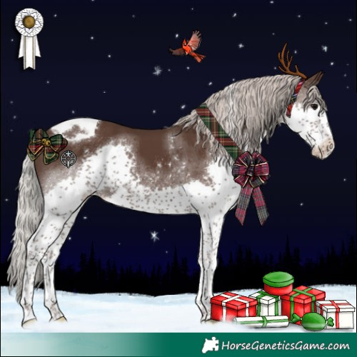 Horse Color:Silver Black Splash Tobiano 