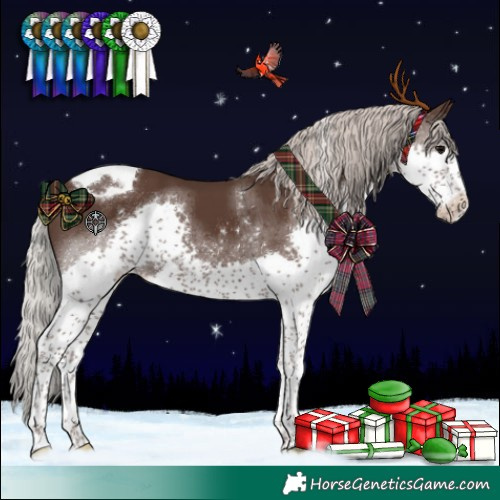 Horse Color:Silver Black Splash Tobiano 