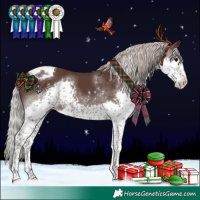 Horse Color:Silver Black Splash Tobiano