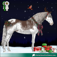 Horse Color:Silver Black Splash Tobiano