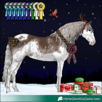 Horse Color:Silver Black Splash Tobiano 