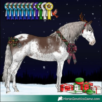 Horse Color:Silver Black Splash Tobiano 