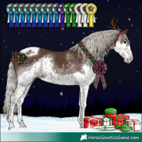 Horse Color:Silver Black Splash Tobiano 