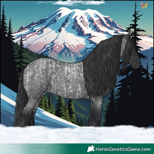 Horse Color:Blue Roan  and Blue Roan 