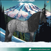Horse Color:Blue Roan and Blue Roan
