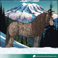 Horse Color:Black  and Classic Champagne 