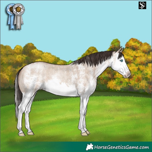 Horse Color:White Spotted Sable Champagne Dun Splash 