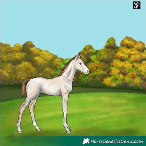 Horse Color:White Spotted Amber Champagne Pearl Dun 