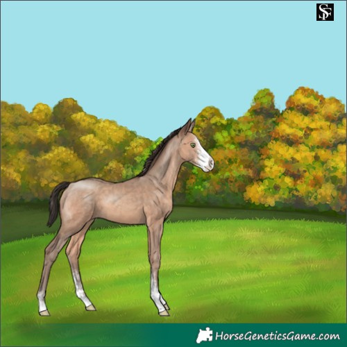 Horse Color:Sable Champagne Sabino 