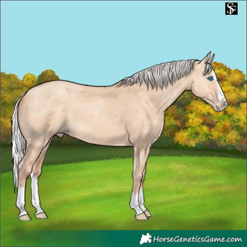 Horse Color:Silver Classic Champagne Dun Merle Splash 