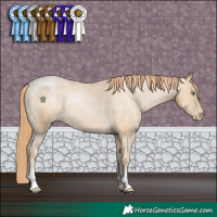 Horse Color:Smoky Black Pearl Varnish 