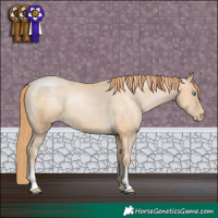 Horse Color:Smoky Black Pearl Appaloosa 