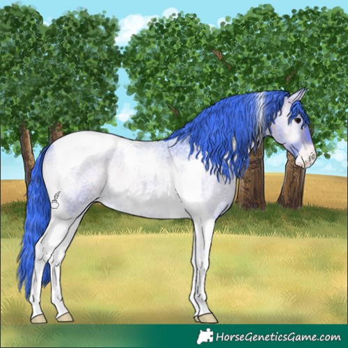 Horse Color:Watercolor Brown Roan Onyx Tobiano Appaloosa 