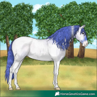 Horse Color:Watercolor Brown Roan Onyx Tobiano Varnish 