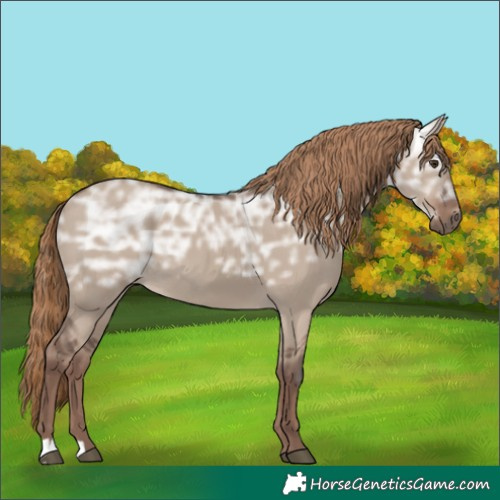 Horse Color:Liver Red Dun Ice Rabicano 