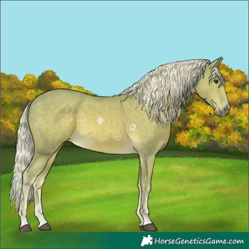Horse Color:Watercolor Palomino 
