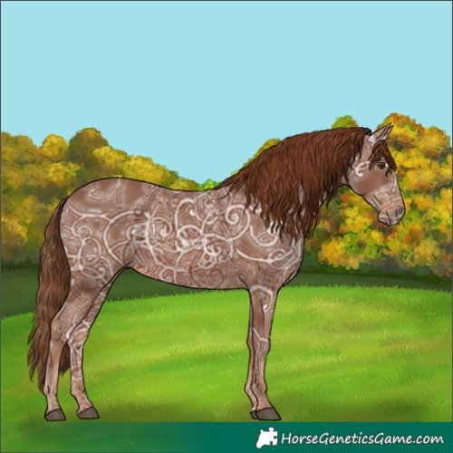 Horse Color:Chestnut Ice Rabicano 