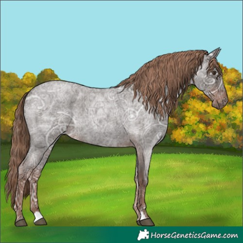 Horse Color:Liver Red Ice Roan Rabicano 
