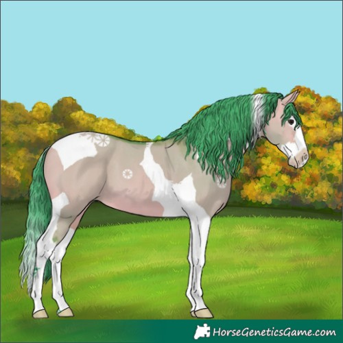 Horse Color:Watercolor Bay Dun Splash Tobiano 
