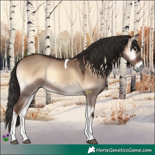 Horse Color:Liver Red Dun Onyx Tobiano 