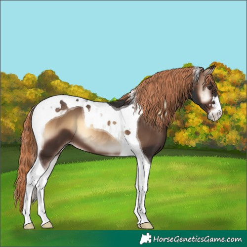 Horse Color:Liver Red Onyx Tobiano 