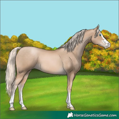 Horse Color:Chocolate Palomino Pearl 