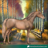 Horse Color:Liver Chestnut Pearl 