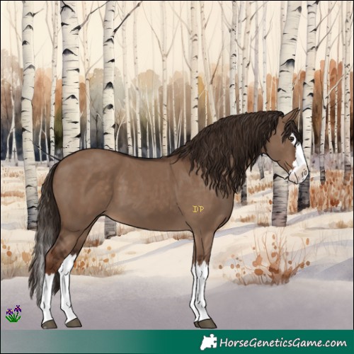 Horse Color:Liver Red Dun Splash 